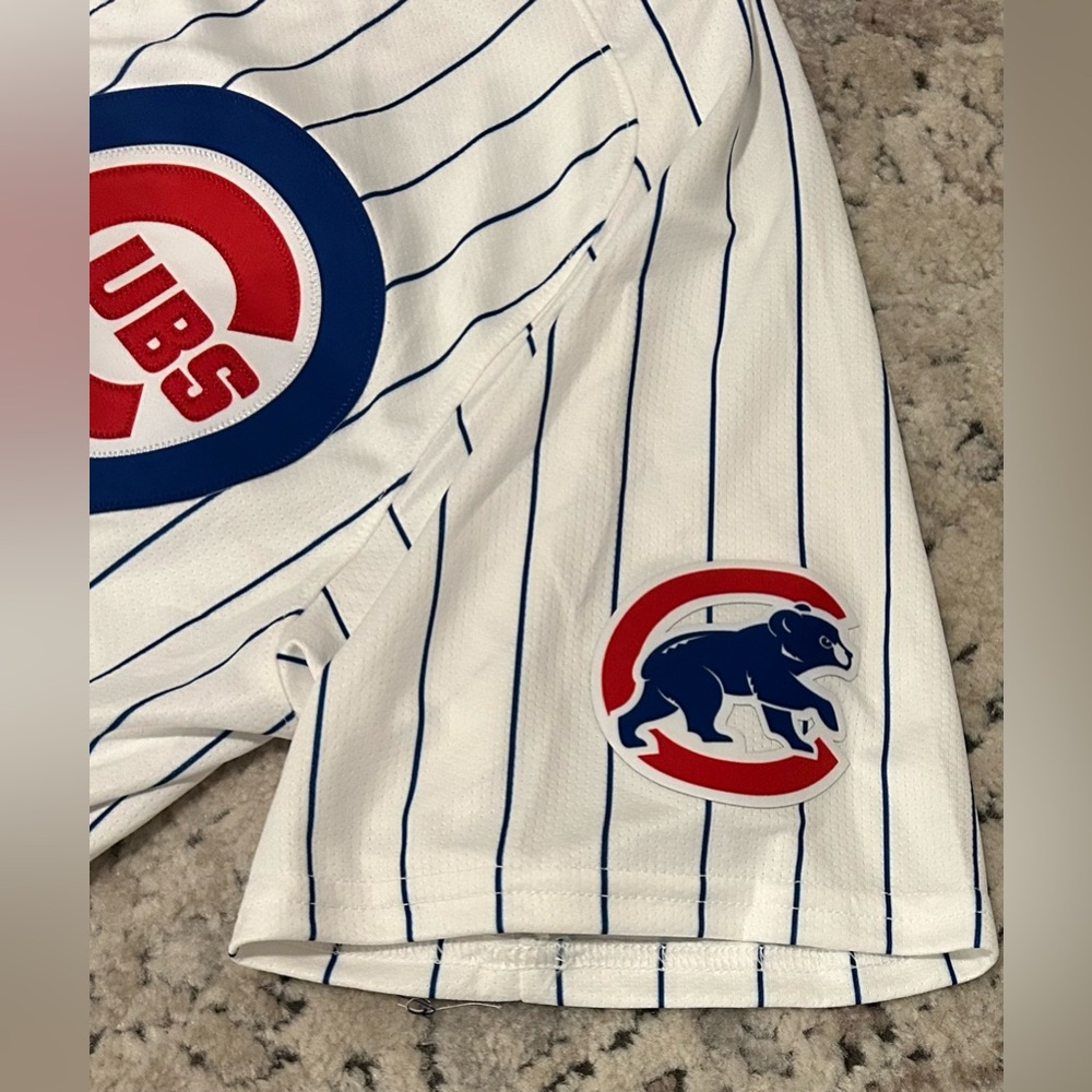 Nike Authentic Pinstripe Chicago Cubs Ian Happ #8 MLB Jersey Men’s Sz: Large - Picture 6 of 7